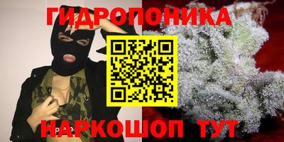 гидропоника Бугуруслан