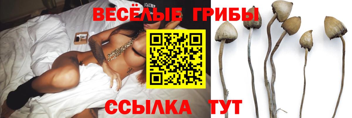 Псилоцибиновые грибы прущие грибы  купить наркотики сайты  Новотроицк  Вход с VPN  Галлюциногенные грибы мухоморы 